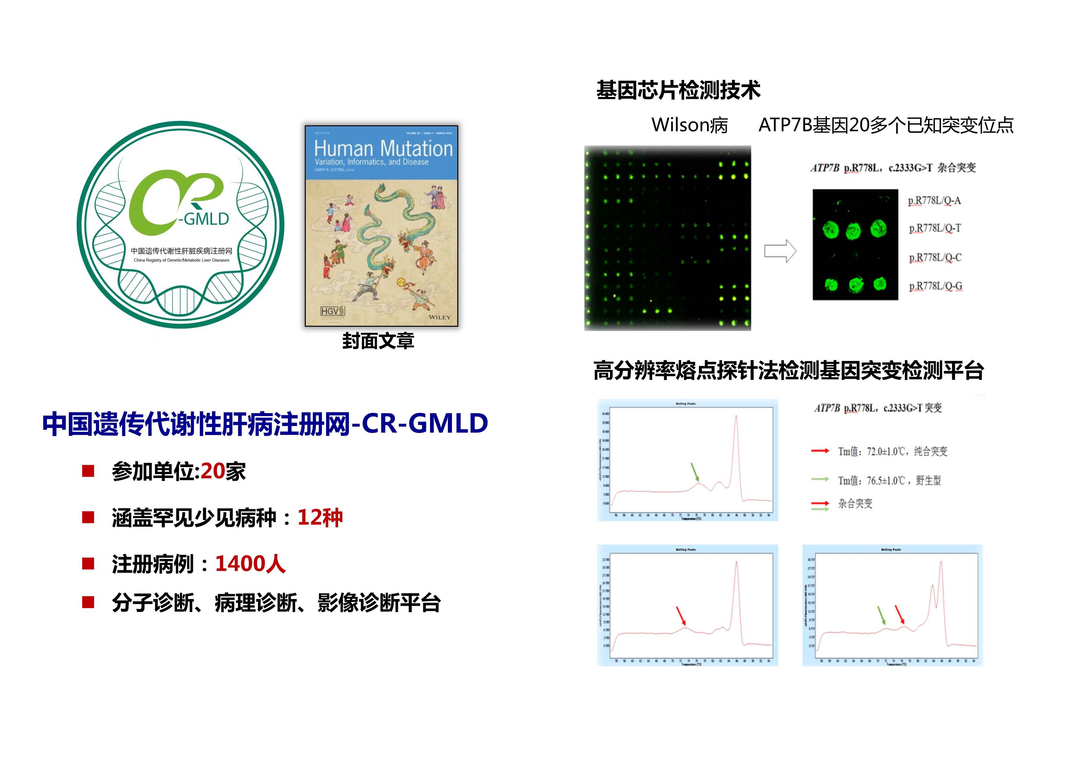 重大科研成果-肝病方向-牵头中国疑难慢性肝病网络建设，构建完善少见疑难肝病基因诊断平台(1).jpg